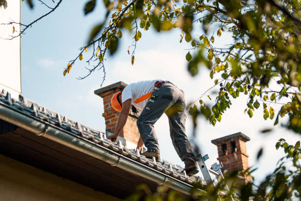 Best Emergency Roof Repair  in Vinton, IA