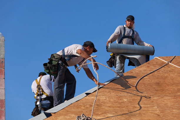 Best Storm Damage Roof Repair  in Vinton, IA
