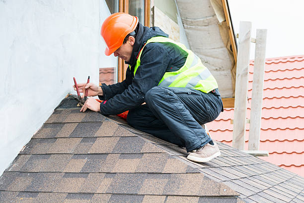 Best Roof Gutter Cleaning  in Vinton, IA
